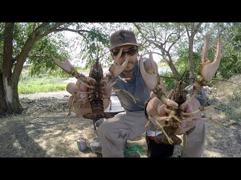 Cangrejos De Rio Con Cerbatana Y Trampa | Caza Y Pesca