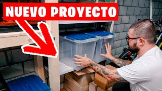 NACE UN NUEVO PROYECTO EN MI FISHROOM: ¡VAMOS A CRIAR DE TODO!