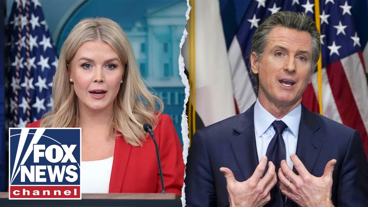 Leavitt: LAPD has been ‘knee-capped’ by ‘incompetent’ Dems