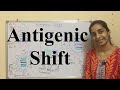 Antigenic Shift in Influenza Viruses