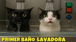 ¡SU PRIMER BAÑO fue un CAOS TOTAL! 😱 GATOS y PERROS en Lavadora de Mascotas | Luna y Estrella