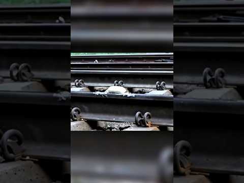 Non Newtonian fluid vs Train! #science #physics