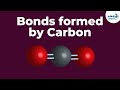 Understanding Covalent Bonds with Carbon