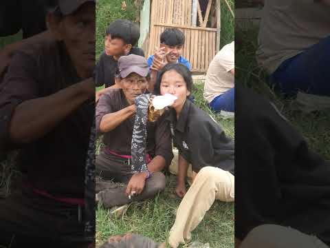 Safira ladies Flay Saat Kerasukan Minum Susu #shorts