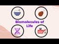 Biological Macromolecules and Their Functions