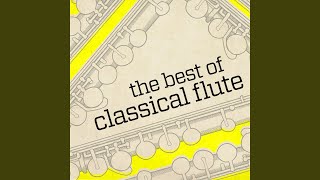 Concerto for Recorder and Flute, TWV 52:e1: II. Allegro