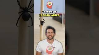 Telaraña vs acero: ¿Cuál es más fuerte?