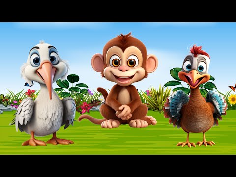 Wild Animal Sounds In Nature: Pelican, Monkey, Turkey, Rhino, Elephant  | Animal Moments
