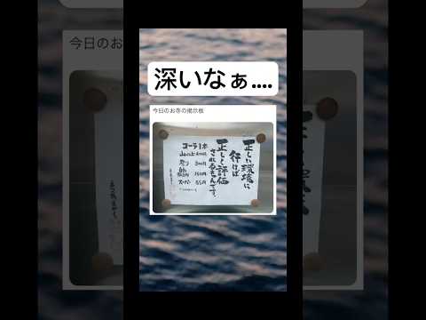 これは間違いない#shorts#お寺#深い#名言#面白い#笑える