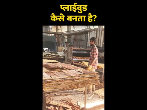 प्लाईवुड कैसे बनता है, How Plywood Is Made In Factories, types of plywood in india