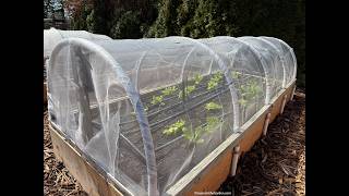 Row covers for Insect Control in the Vegetable Garden (2026) #12
