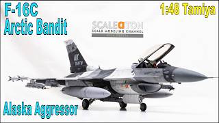 Tamiya F-16C "Arctic Bandit" Alaska Aggressor