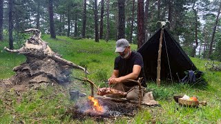 My Camping Plans Changed Because of a Beast-Like Tree Root! – Firepit, Lamb Roast, Shelter