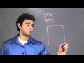 DNA Profiling and Analysis Concepts