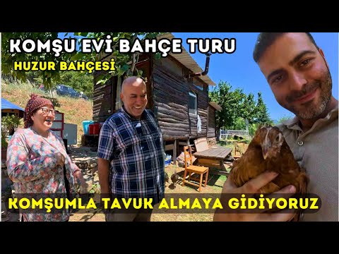 DAĞ EVİNE TAVUKLARI ALMAYA GİDİYORUZ ! KOMŞUMUN EŞİYLE BERABER KURDUĞU HUZUR BAHÇESİNİ GEZİYORUZ