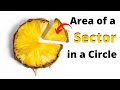 Understanding Sector Area