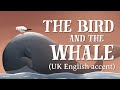 Whale and Bird Friendship Dynamics