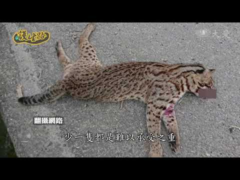 https://www.youtube.com/watch?v=g_gGPsgquok