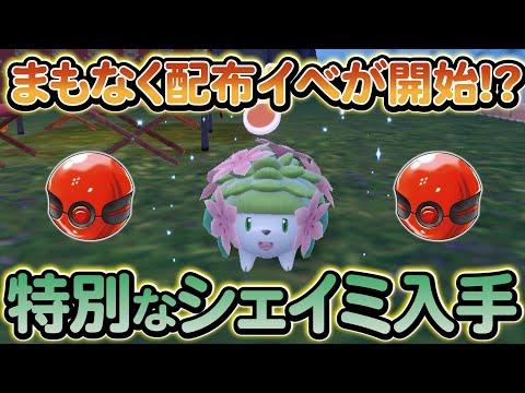 【ポケモンsv】幻のポケモンの配布がまもなく開始!!さらにその他受け取れるポケモンもご紹介