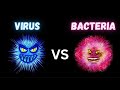 Exploring the Distinctions Between Viruses and Bacteria
