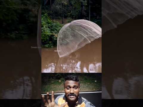 Fishing MASTER Catches His Net Like a Pro! #trending #shorts