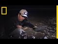 Conservation of Black-Footed Ferrets