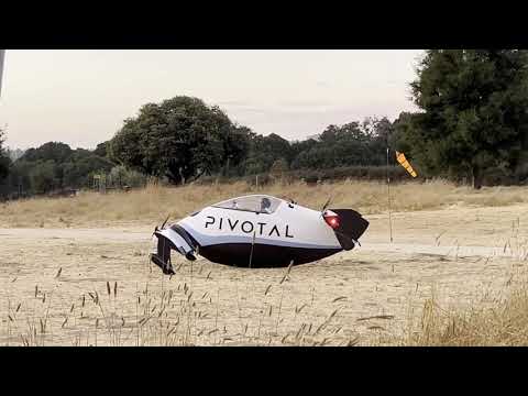 Pivotal