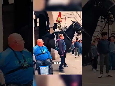 Британо-Солдатская лошадь не так проста как кажется😱