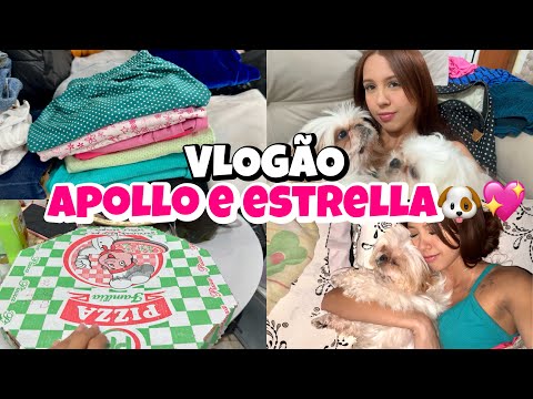 VLOGÃO: dormir na casa da minha mãe| fui ver apollo e estrela| fiz carne com batata🐶🏠💖