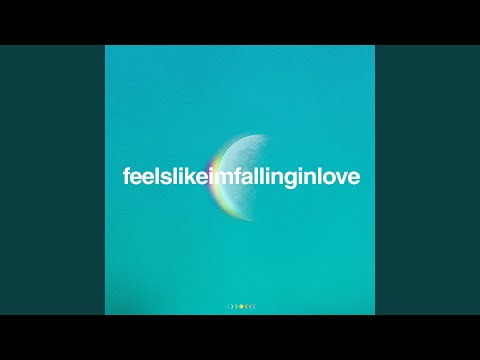 feelslikeimfallinginlove (Preview)