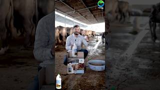 #dairyfarm #dairyfarming #dailyvlog #farming #agriculturalsystem #agriculture