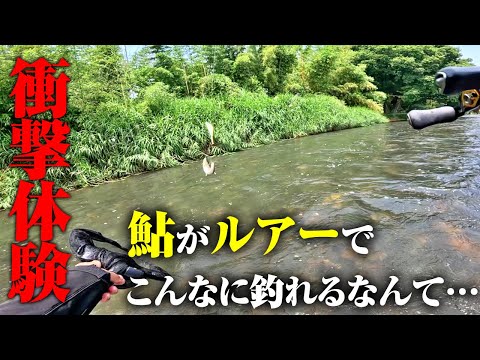 コツさえ掴めば1投1匹。ルアーを使った鮎釣りの“面白さ”を完全に知ってしまった件。