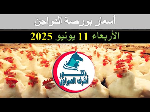 أسعار بورصة الدواجن والكتاكيت والبط والسمان | وأسعار بيض المائدة والعلف اليوم الأربعاء 11 / 6 / 2025