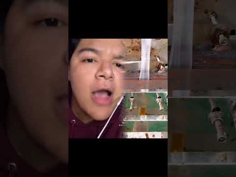 When my Spanish Mom forgets a word HORSE TORNADO 🐎🌪️ w dez.thelez #shortsvideo