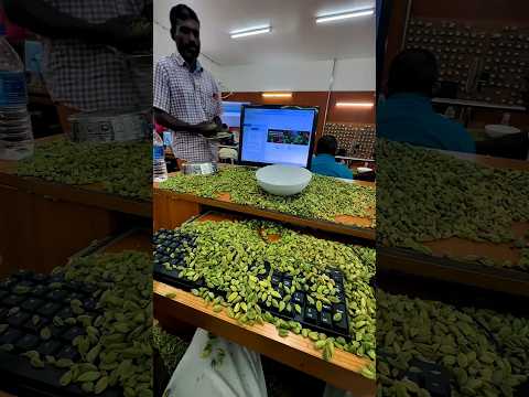 এলাচির সবচেয়ে বড় আড়ৎ | Cardamom auction