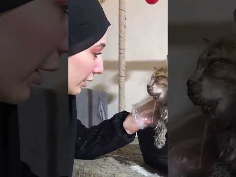 يا عمري 🥹 ارحموا من في الأرض يرحمكم من في السماء