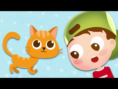 Kedi Miyav Miyav Şarkısı - Hayvanları Öğreten Çocuk Şarkıları