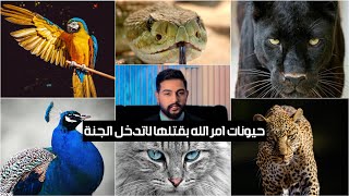 حيونات لاتدخل الجنة امر الله بقتلها 😳