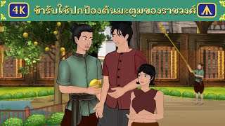 ข้ารับใช้ปกป้องต้นมะตูมของราชวงศ์ | Ariplane Tales Thai
