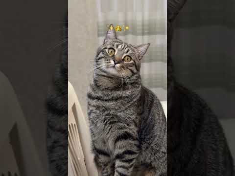Любовь спасет мир ❤️