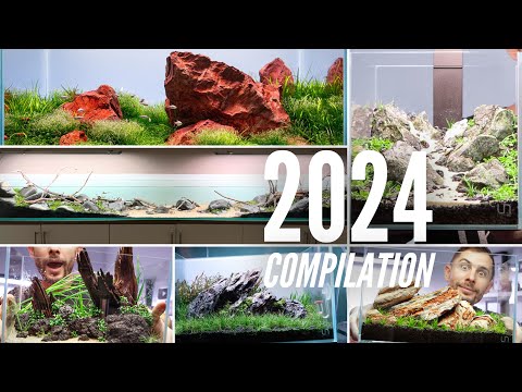 My 6 Best Aquascaping Tutorials 2024!