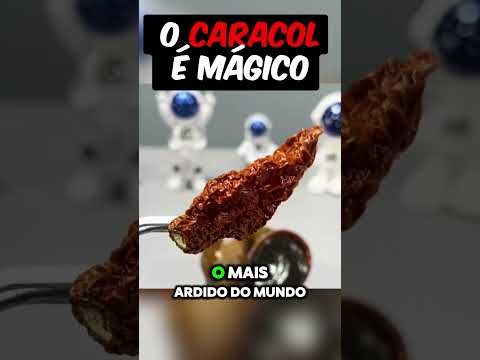 CARACOL NÃO É IMORTAL