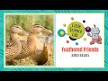 Bird Beak Mask Activities and Concepts