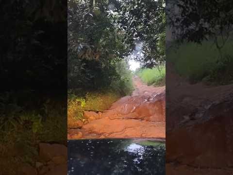 ഇതല്ല ഇതിനപ്പുറം ചാടി കടന്നവനാണ് kk ജോസഫ് 😜