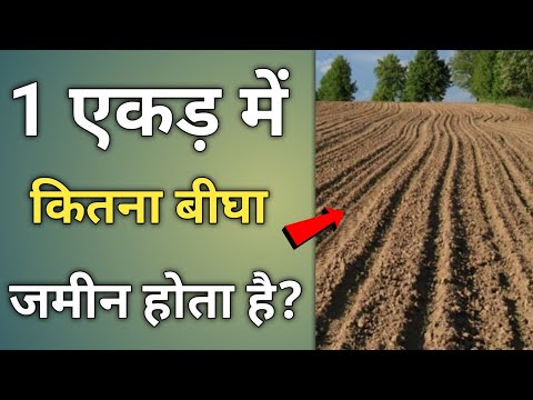 1एकड़ में कितने बीघा होते है | ek ekad mein kitne bigha hote hain | 1 एकड़ में कितना बिस्वा | 1 acre