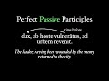 Exploring Perfect Passive Participles in Latin