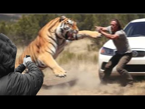 Dumb people learning to respect wild animals the hard way!!!