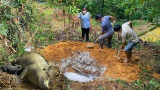 DAU & TU and PHIN buried the pigs with their own hands in sadness and despair