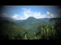 Deforestation and Forest Recovery Concepts