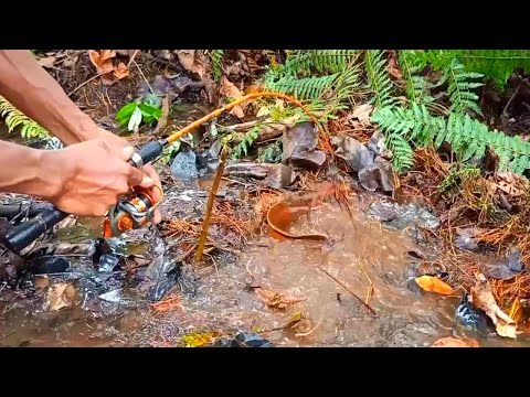 PEMANCING IKAN LEMBAT | MANCING IKAN LEMBAT DAPAT BESAR DI LUBANG REJEKI | fishing 2025